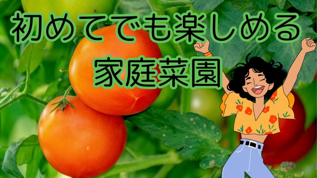 家庭菜園初心者